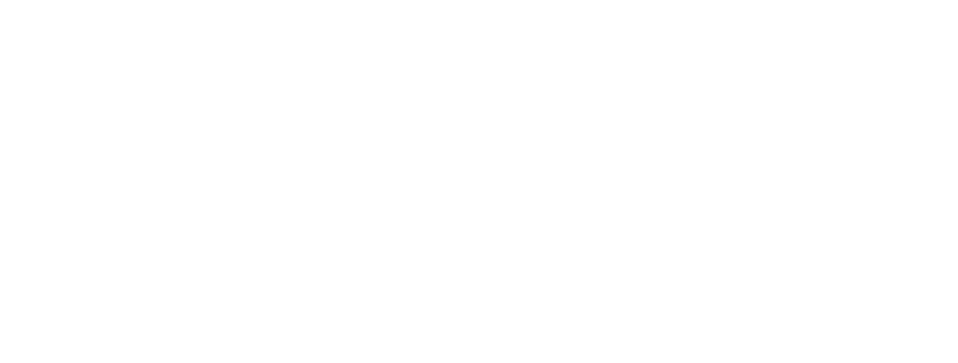 QRIS